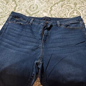 Talbots Blue Denim Jeans